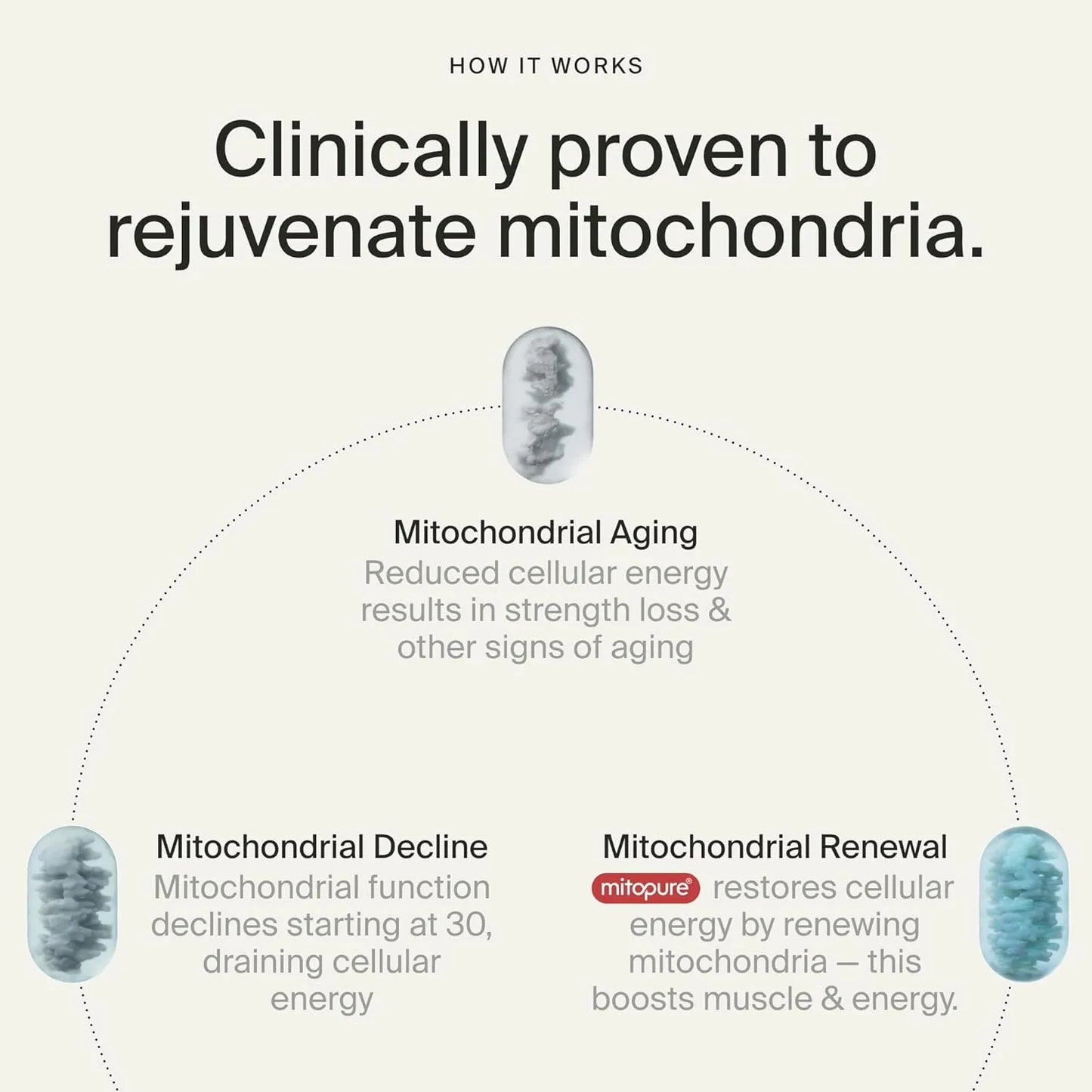 O'Maria Urolithin A RepairGels