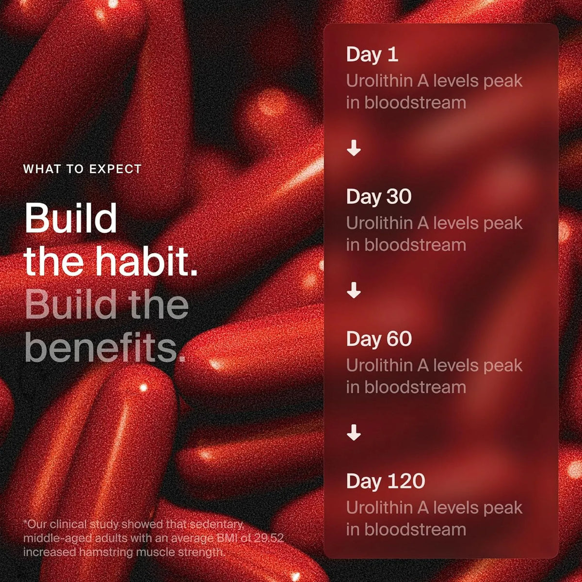 O'Maria Urolithin A RepairGels